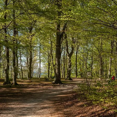 アパート 8b Blue Marine Basen Brodziki Plac Zabaw The Of Przy Plaz