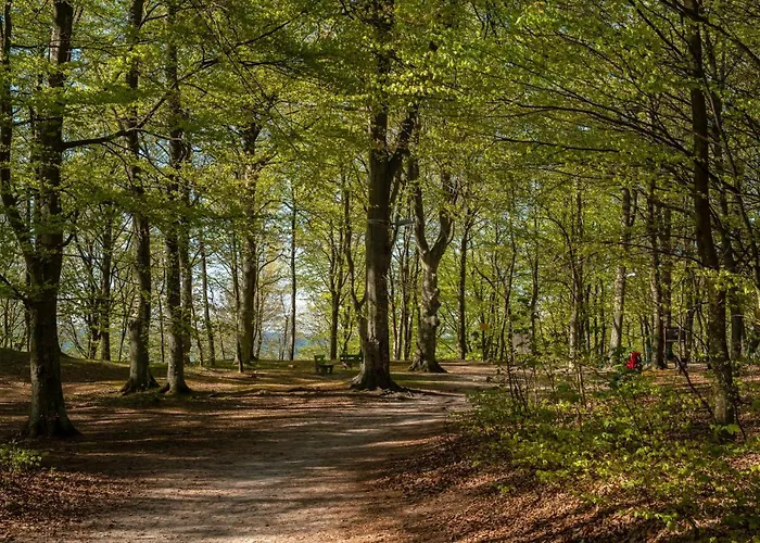 Апартаменты 8b Blue Marine Basen Brodziki Plac Zabaw The Of Przy Plaz